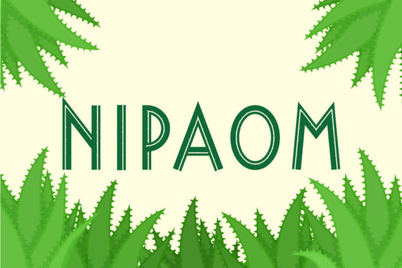 Nipaom Font: Elevating Your Designs with Playful Precision